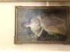 img_6566_small.jpg