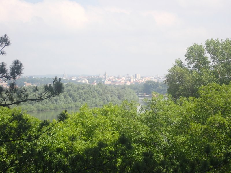 p5310034.jpg