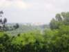 p5310034_small.jpg