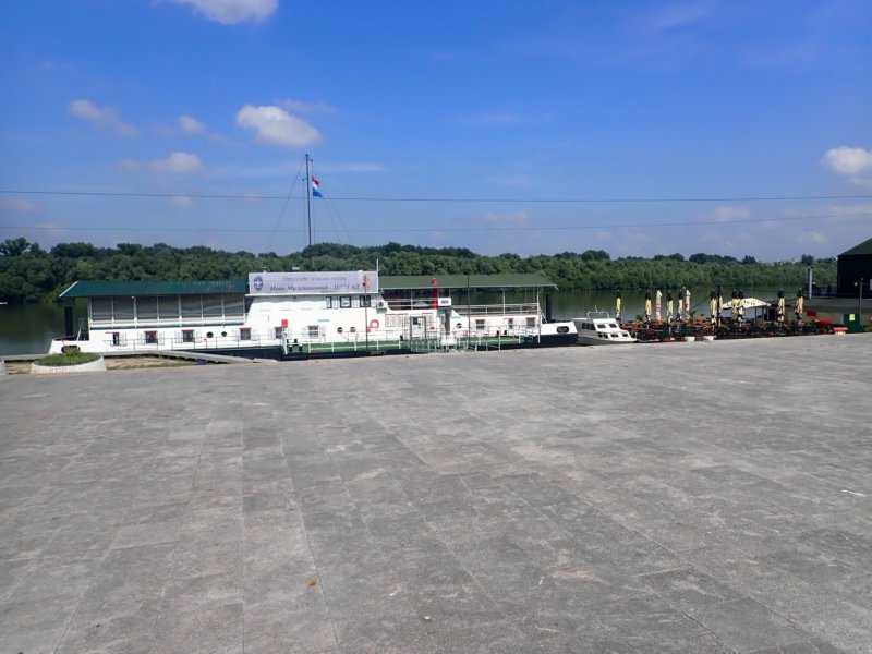 p5310038.jpg