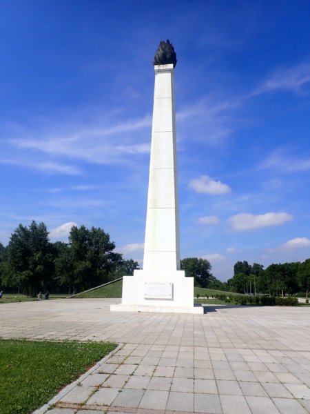 p5310047.jpg
