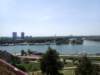 p6040168_small.jpg