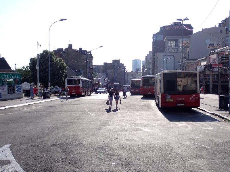 p6050231.jpg