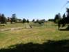 p6050263_small.jpg