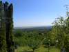 p6050266_small.jpg