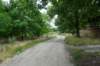 dsc03994_small.jpg