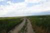 dsc03998_small.jpg