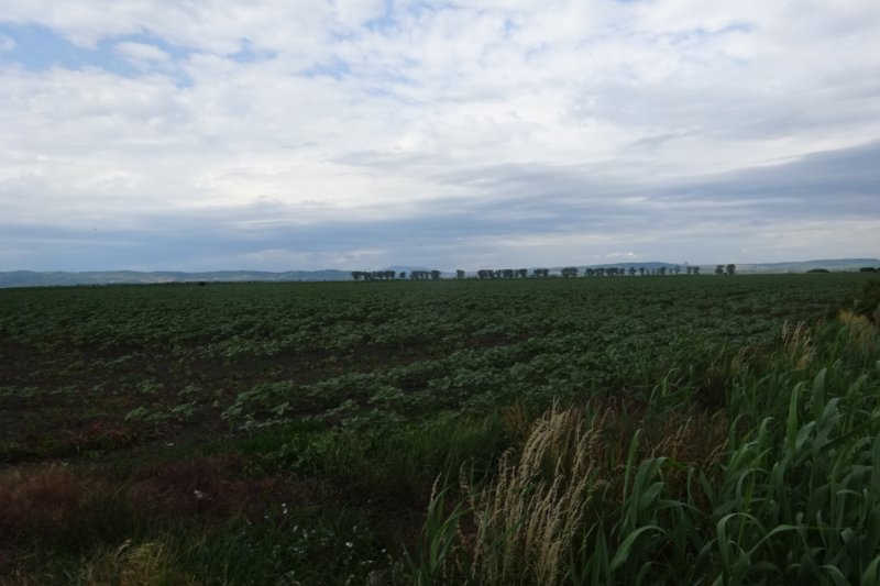 dsc04000.jpg