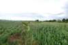 dsc04001_small.jpg