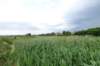 dsc04002_small.jpg