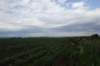 dsc04003_small.jpg
