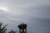 dsc04006_small.jpg