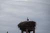 dsc04007_small.jpg