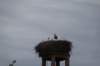 dsc04009_small.jpg