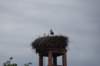 dsc04010_small.jpg
