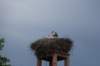dsc04013_small.jpg