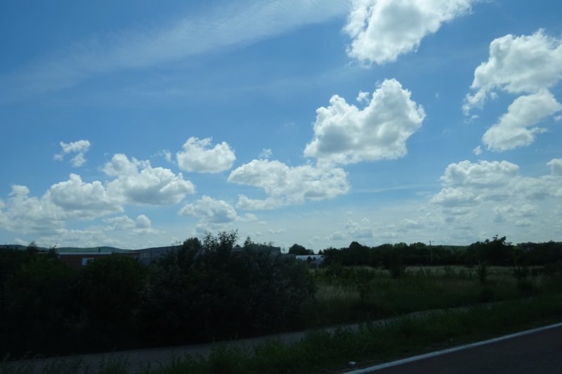 dsc04152.jpg
