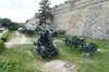 dsc04207_small.jpg