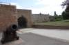 dsc04212_small.jpg