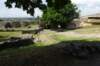 dsc04224_small.jpg