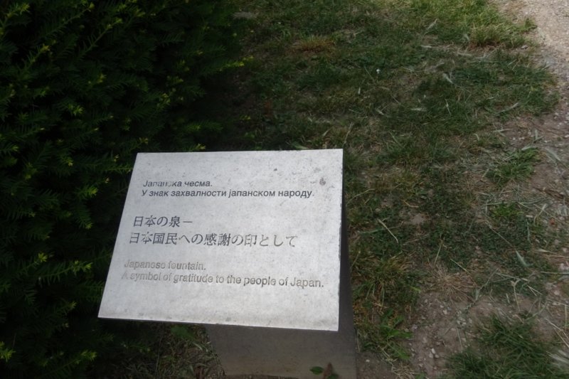 dsc04245.jpg