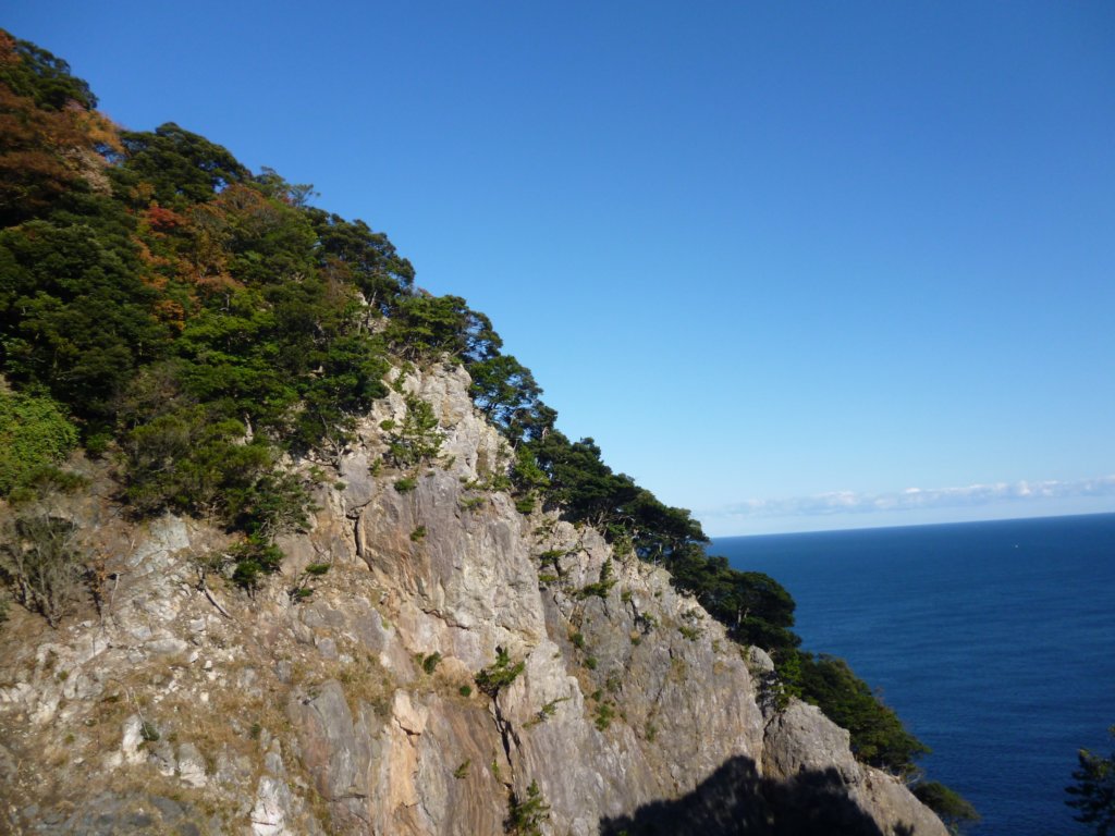 p1010137.jpg