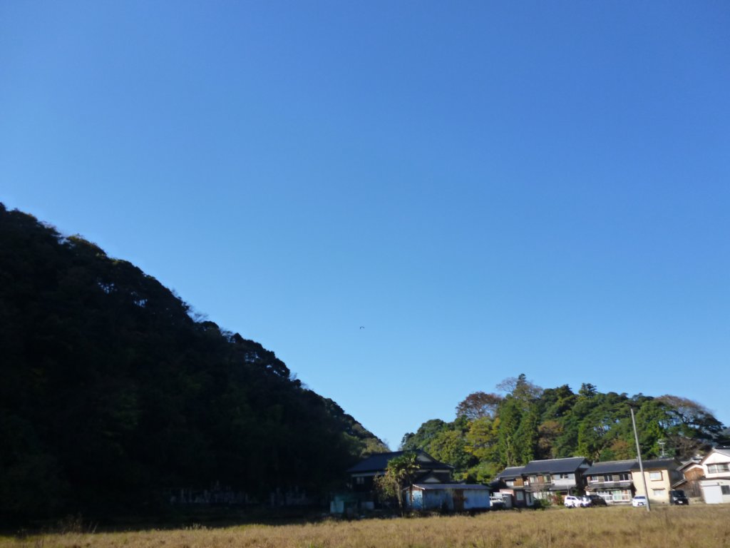 p1010140.jpg