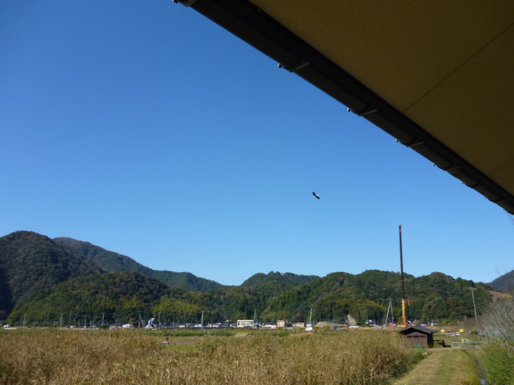 p1010144.jpg