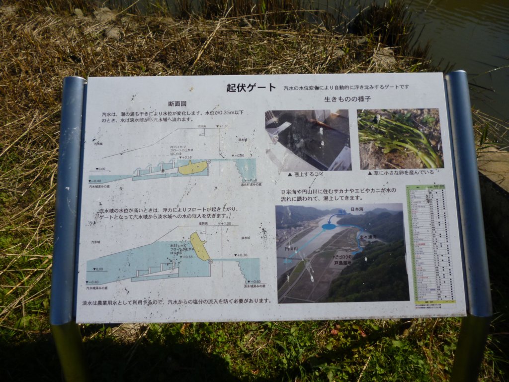 p1010151.jpg