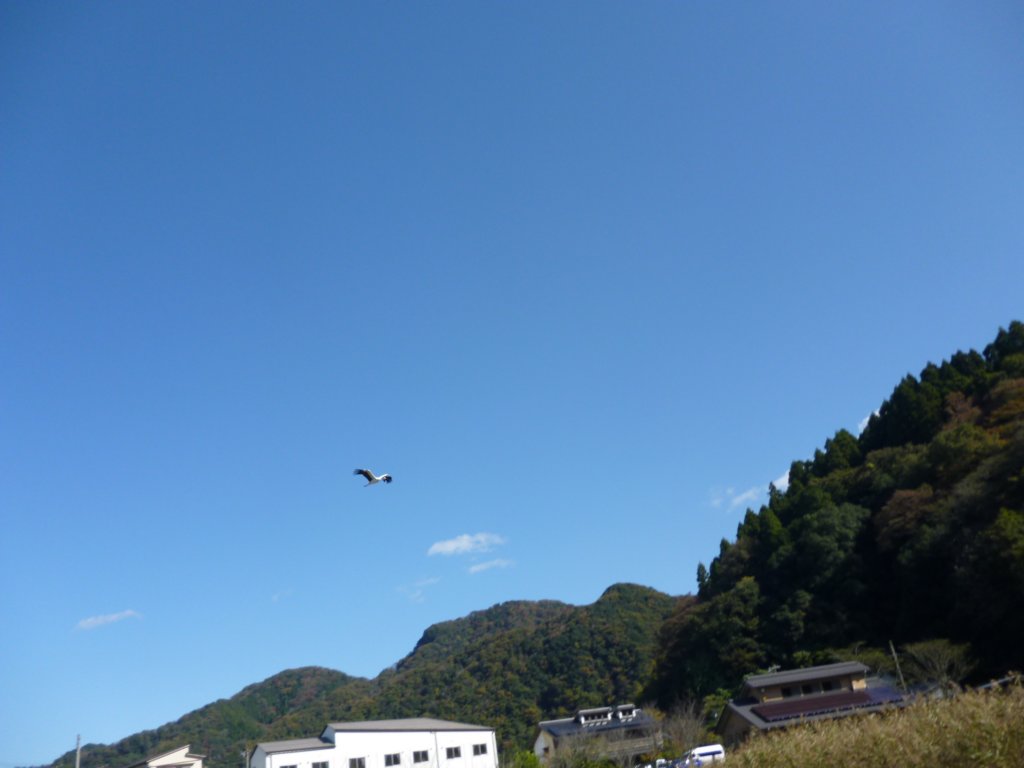 p1010153.jpg