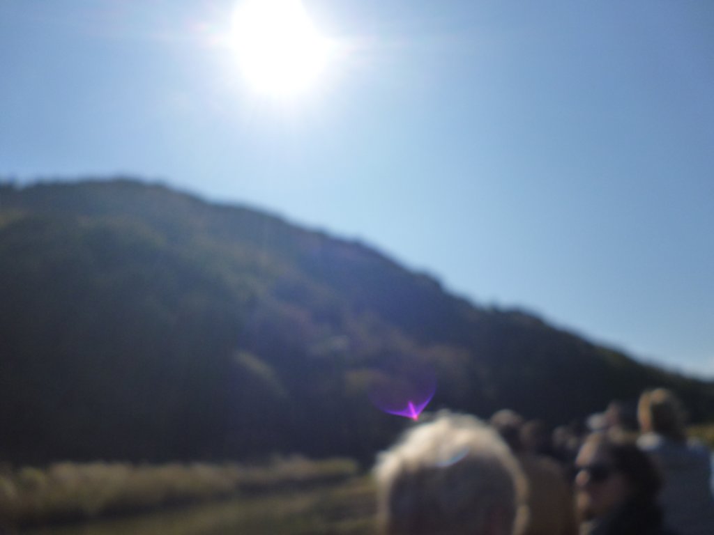 p1010155.jpg