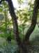 p1010159_small.jpg