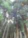 p1010160_small.jpg