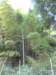 p1010161_small.jpg