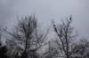 dsc05099_small.jpg