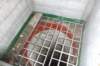 dsc05104_small.jpg