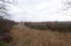dsc05113_small.jpg