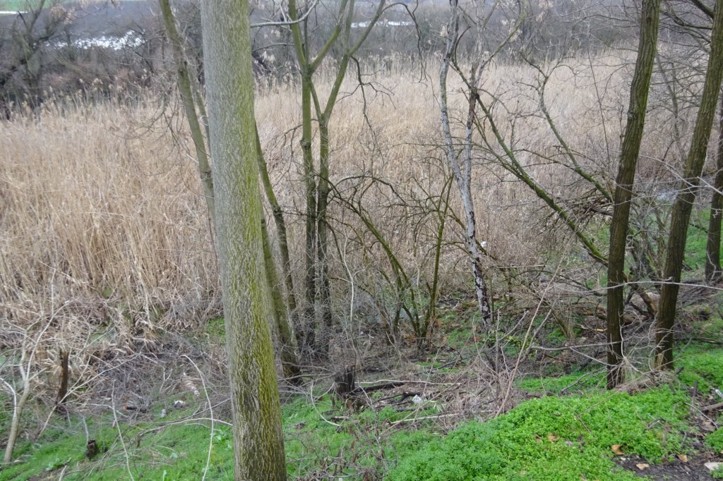 dsc05114.jpg