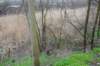 dsc05114_small.jpg