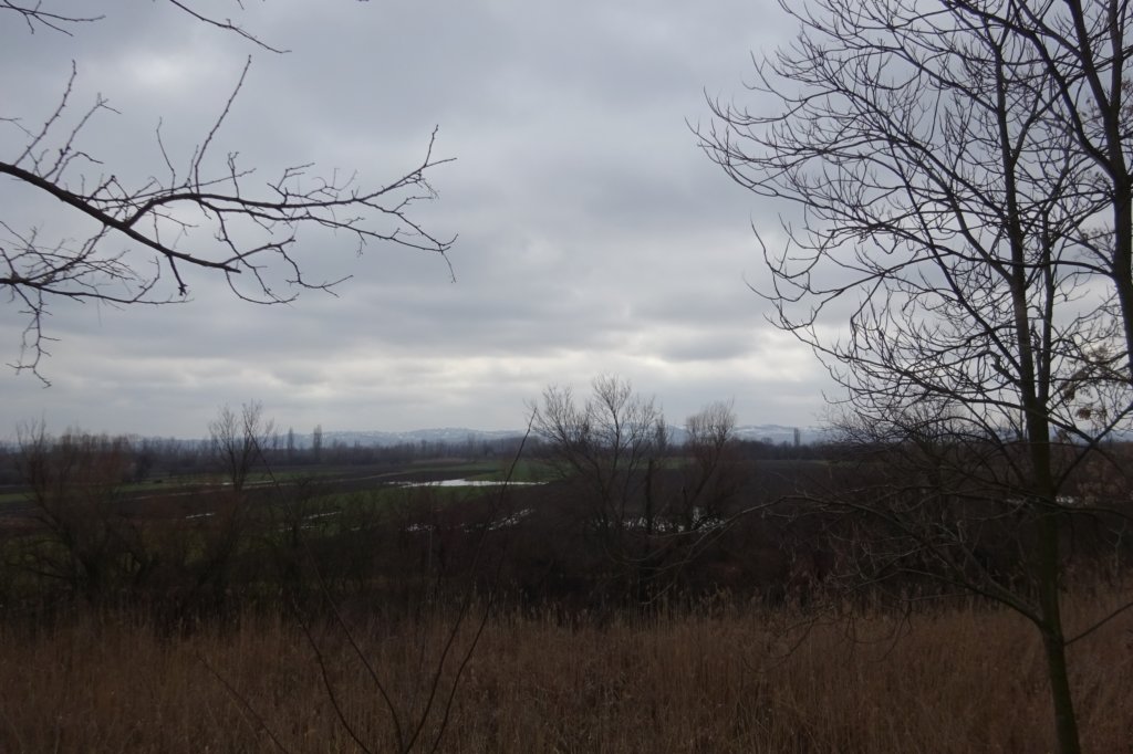 dsc05115.jpg
