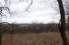 dsc05117_small.jpg