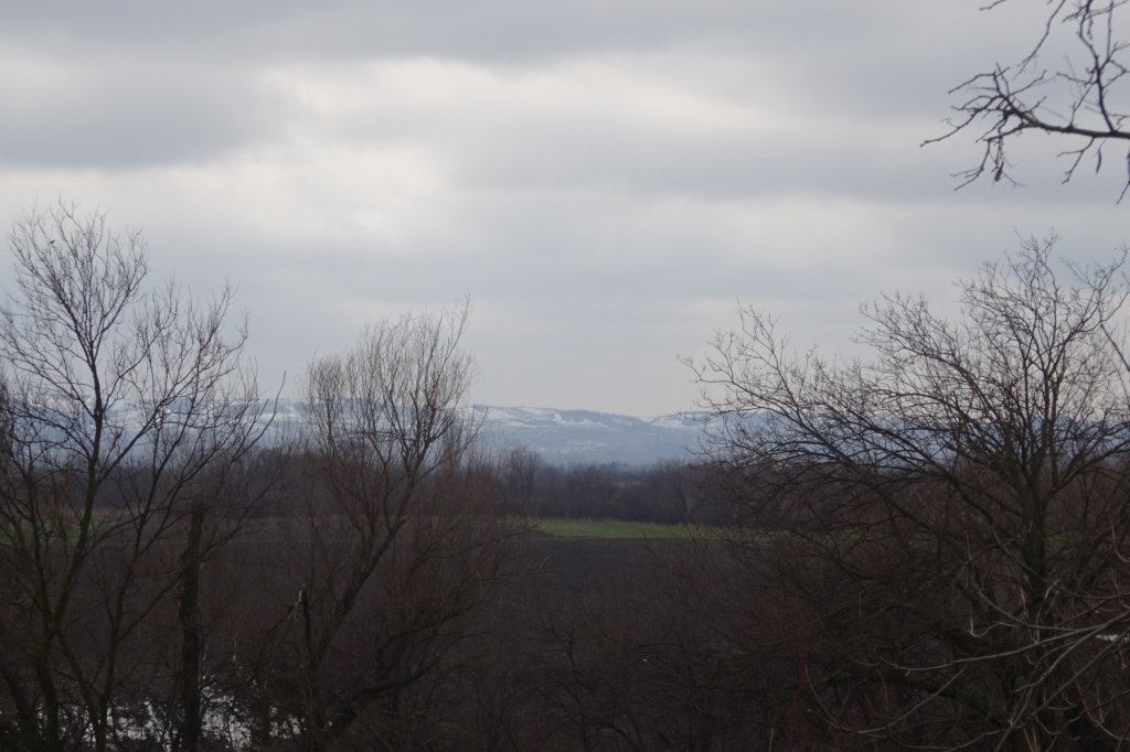 dsc05119.jpg