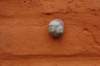 dsc05123_small.jpg