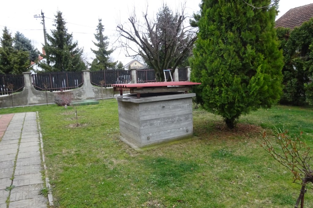 dsc05124.jpg