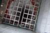 dsc05128_small.jpg