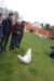 dsc05131_small.jpg