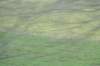 dsc05132_small.jpg