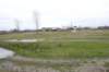 dsc05134_small.jpg