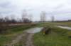 dsc05135_small.jpg