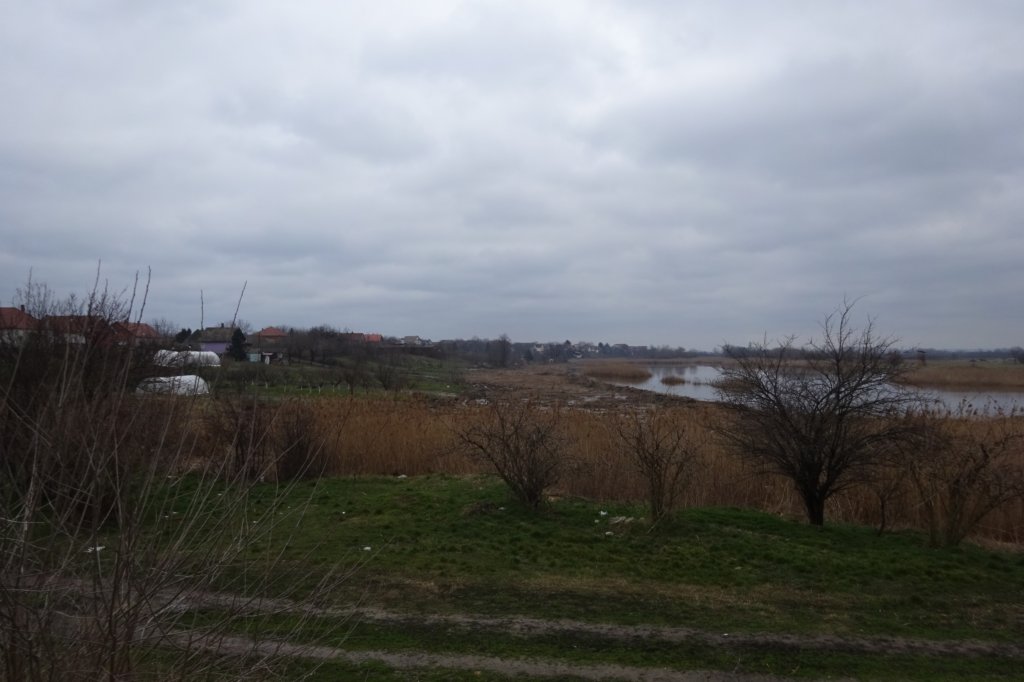 dsc05144.jpg